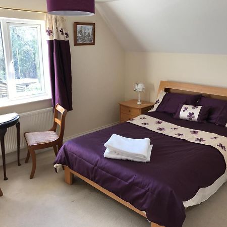 Llannon Bwthyn Rhosyn Bed & Breakfast エクステリア 写真